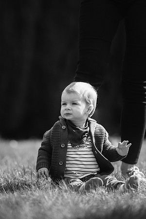 LLO_7384