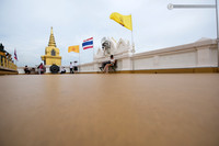 LLO_0121