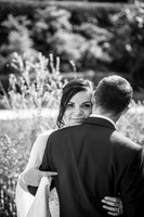 LLO_0241