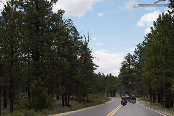 LLP_6202
