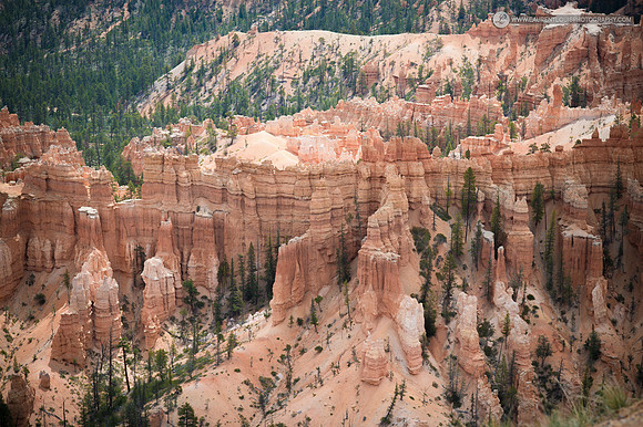 LLP_6141