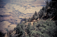 LLP_7152