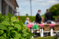LLP_2941