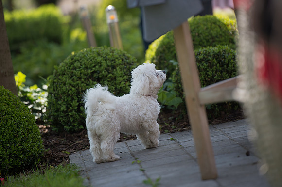 LLP_3169