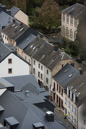 LLO_0135