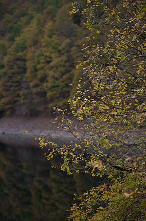 LLP_8773-2