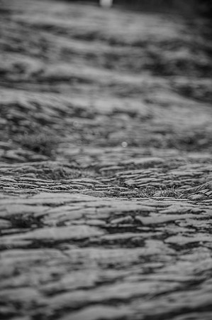 LLP_8579-2