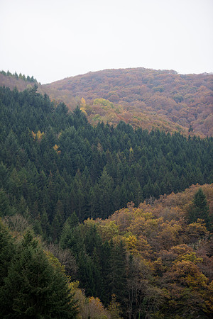 LLO_0150