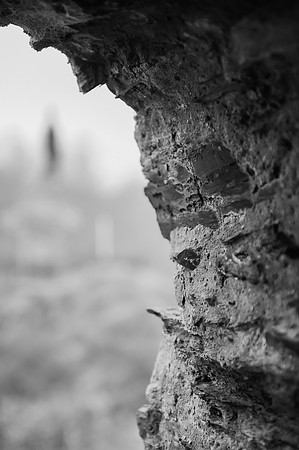 LLP_4605