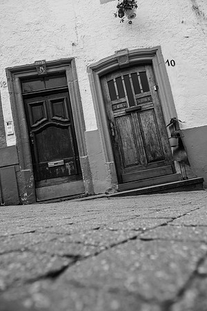 LLO_0194