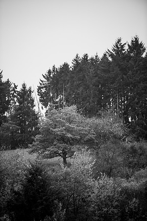 LLP_8590-2