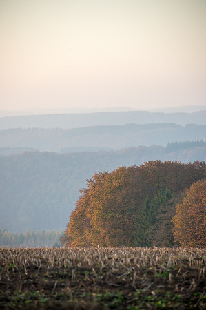 LLP_9113-2