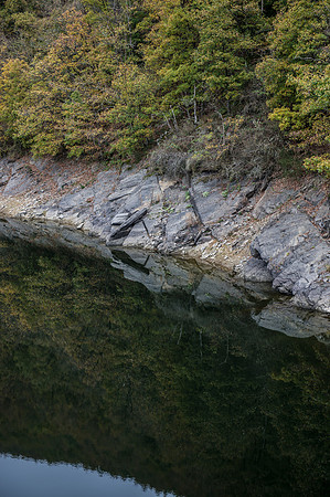LLP_8764