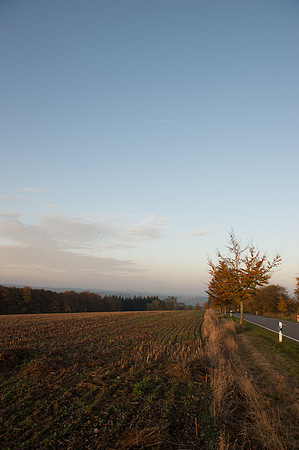 LLP_9093