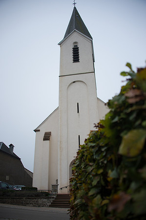 LLP_8685