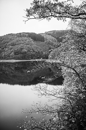 LLO_0221
