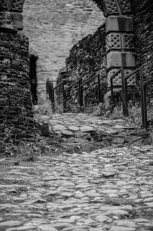 LLP_8573-2