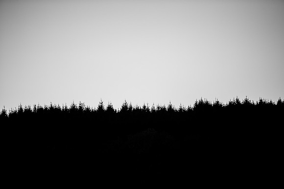 LLP_9128-2
