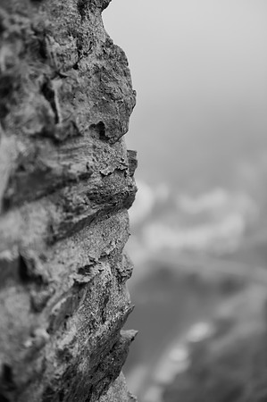 LLP_4606