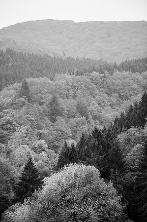 LLP_8587-2