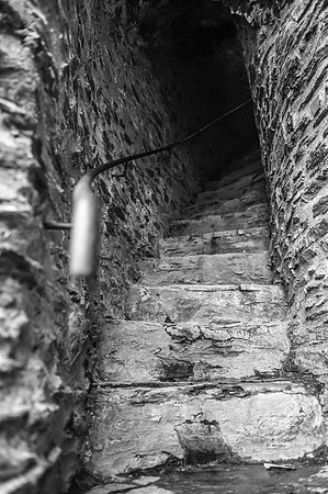 LLP_4611