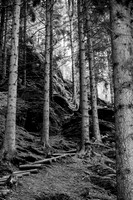 LLO_0002