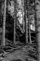 LLO_0001
