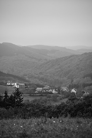 LLO_0086