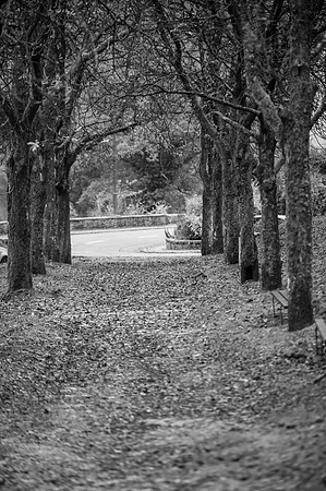 LLP_8656-2