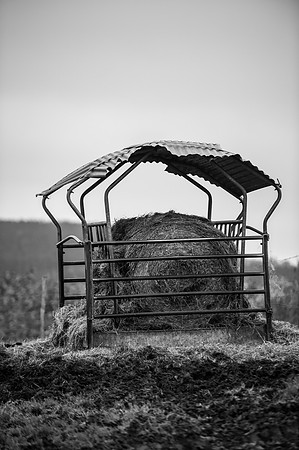 LLP_8683-2
