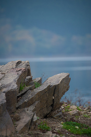 LLP_8476