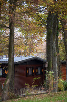 LLO_0041-2