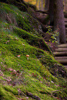 LLO_0034-2