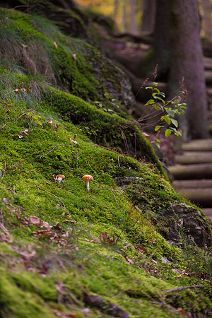 LLO_0034-2