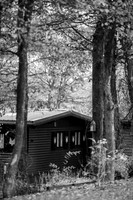 LLO_0041