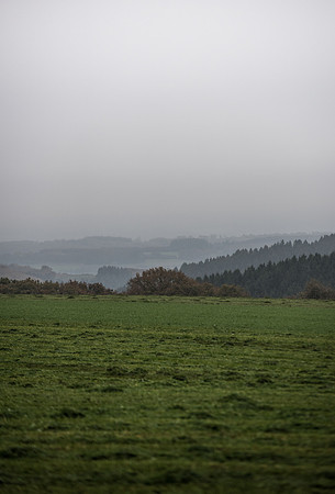 LLO_0079