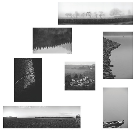 disposition3