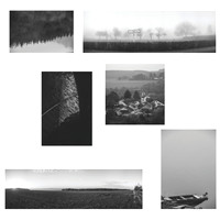 disposition2