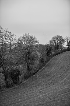 LLO_0096