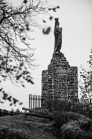 LLP_8638-2