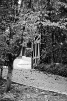 LLO_0068