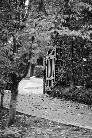 LLO_0068
