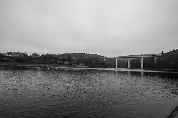 LLP_8512
