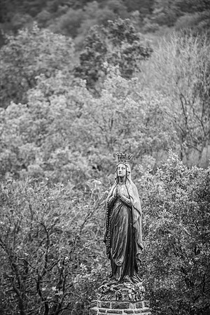 LLO_0146
