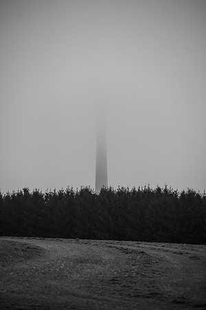 LLO_0082