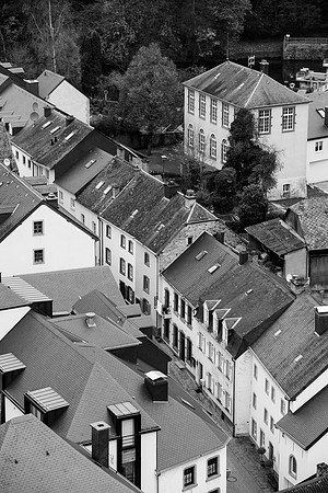LLO_0134