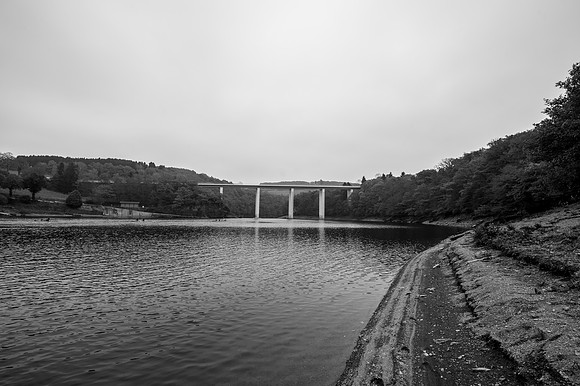 LLP_8515-2