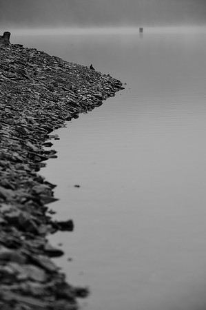 LLP_4681