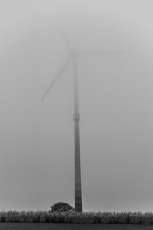 LLO_0077