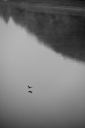 LLP_4657